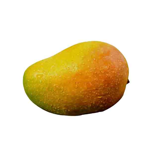 Kesar Mango